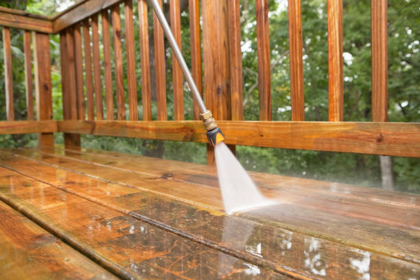 Animal Enclosure Cleaning in Darlington, SC